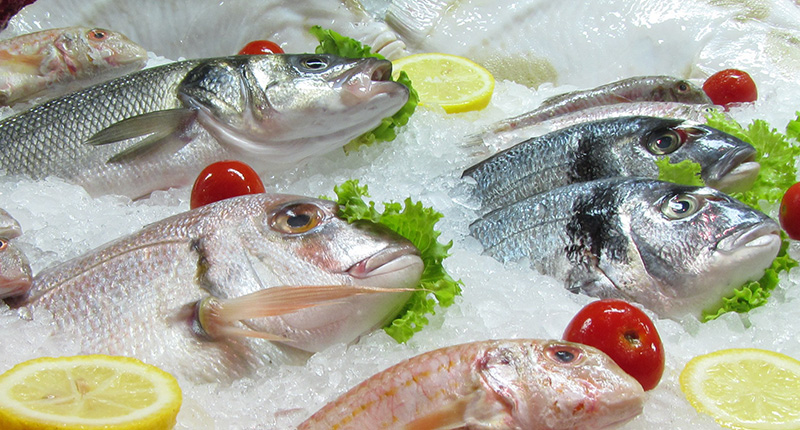 Fischereispiel